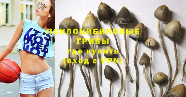 дмт Армянск