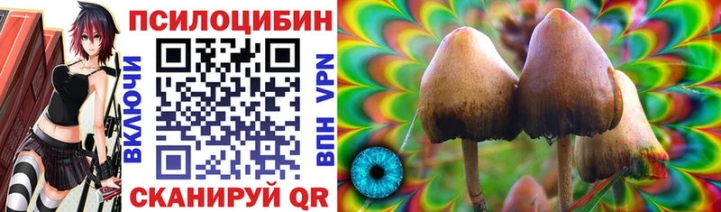 Псилоцибиновые грибы Psilocybine cubensis Купить закладки Вятские Поляны
